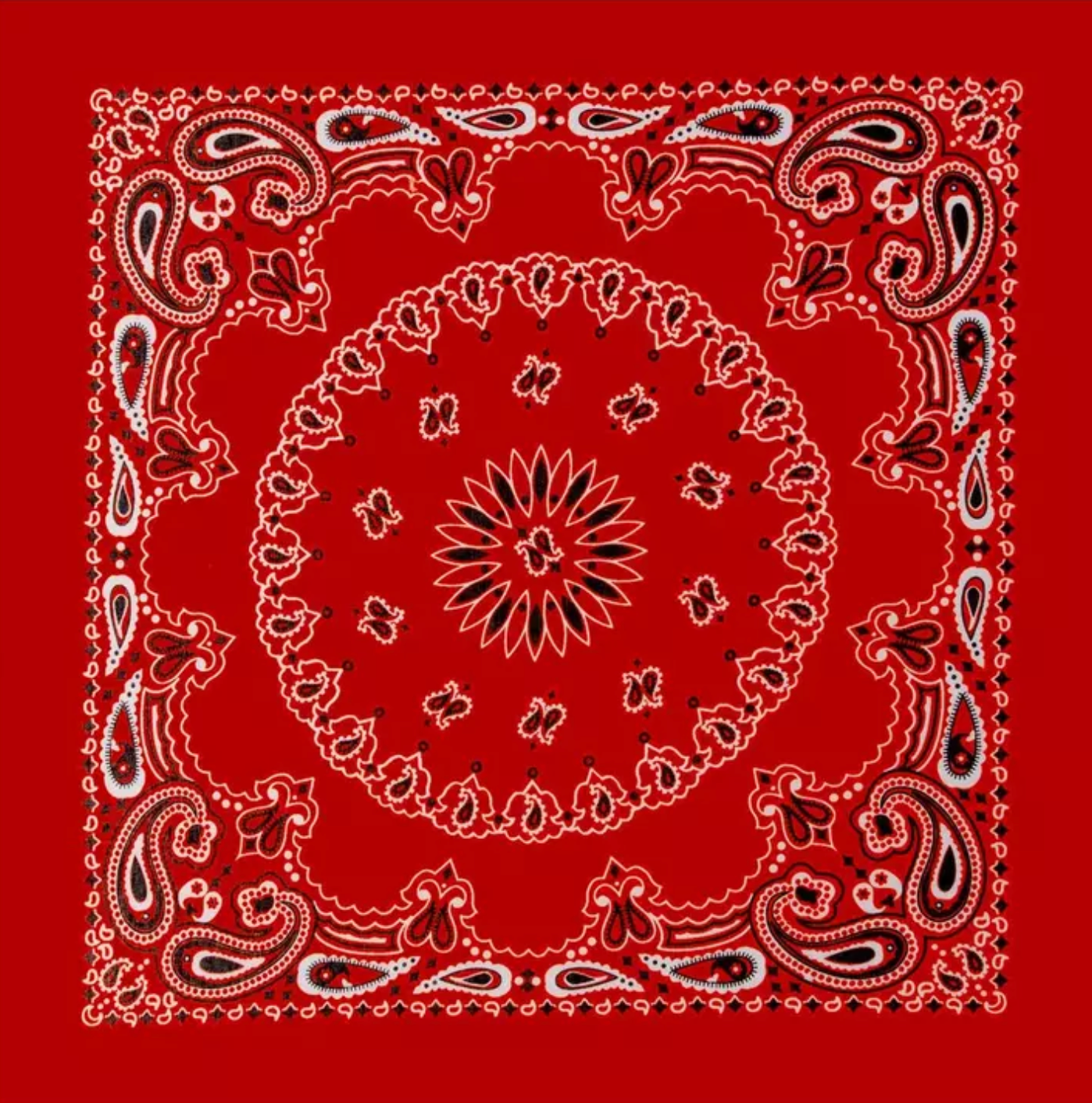 Custom Embroidered Bandana Hair Bow