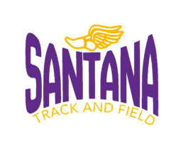 Santana Track & Field 40 oz Glitter Stainless Steel Tumbler